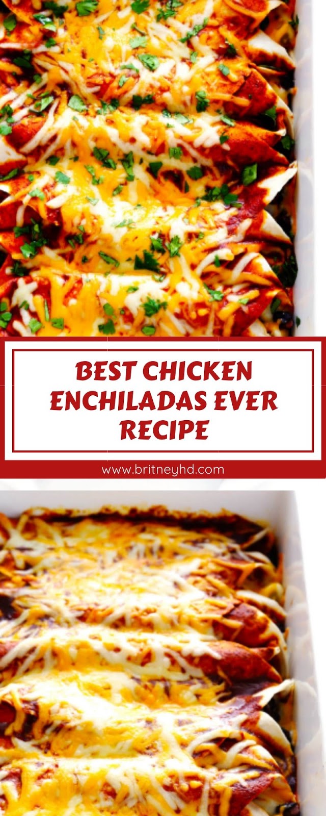 BEST CHICKEN ENCHILADAS EVER RECIPE BEST CHICKEN ENCHILADAS EVER RECIPE
