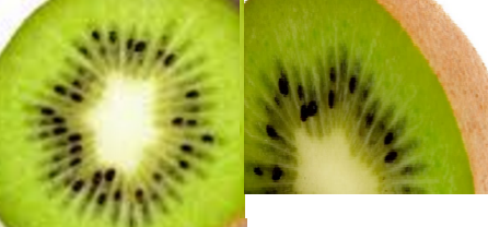 How to select and store Kiwi Fruit