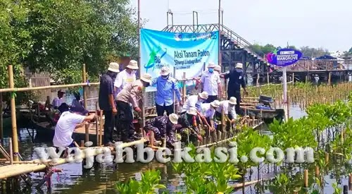 PJB UP Muara Tawar Tanam 2.626 Pohon Mangrove di Pusat Restorasi dan Pembelajaran Mangrove (PRPM) Paljaya PJB UP Muara Tawar Tanam 2.626 Pohon Mangrove di Pusat Restorasi dan Pembelajaran Mangrove (PRPM) Paljaya