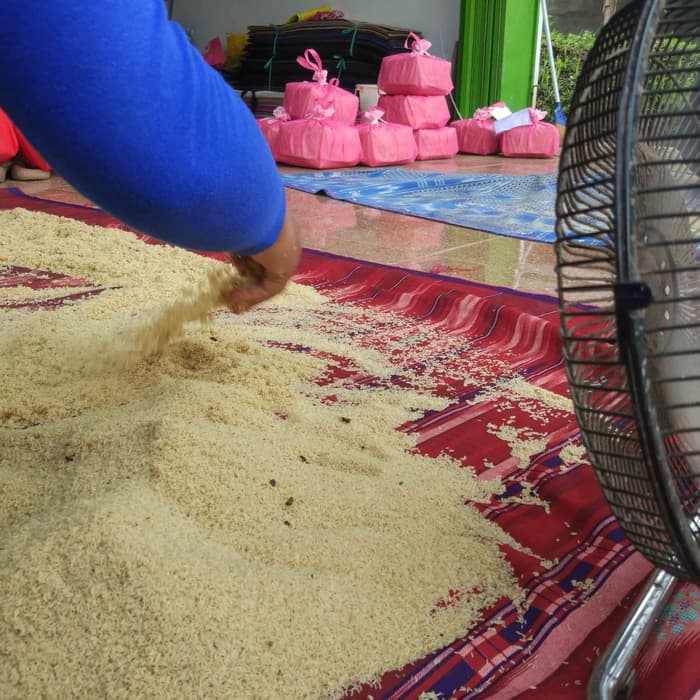 Ternak Jangkrik Semarang