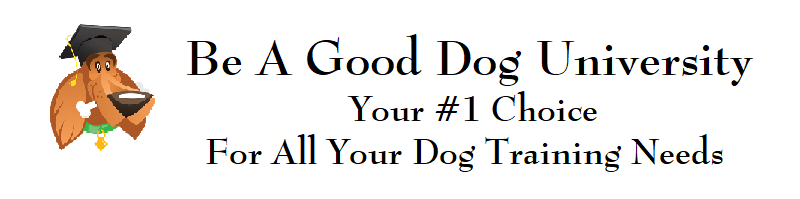 Be A Good Dog University