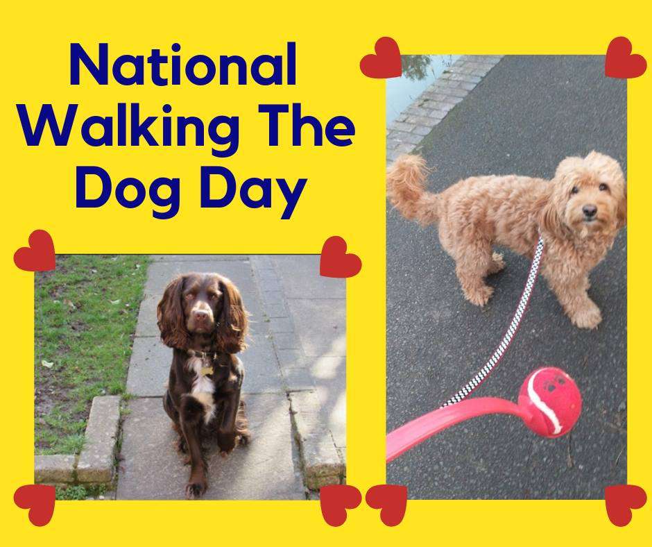 National Walking the Dog Day Wishes pics free download