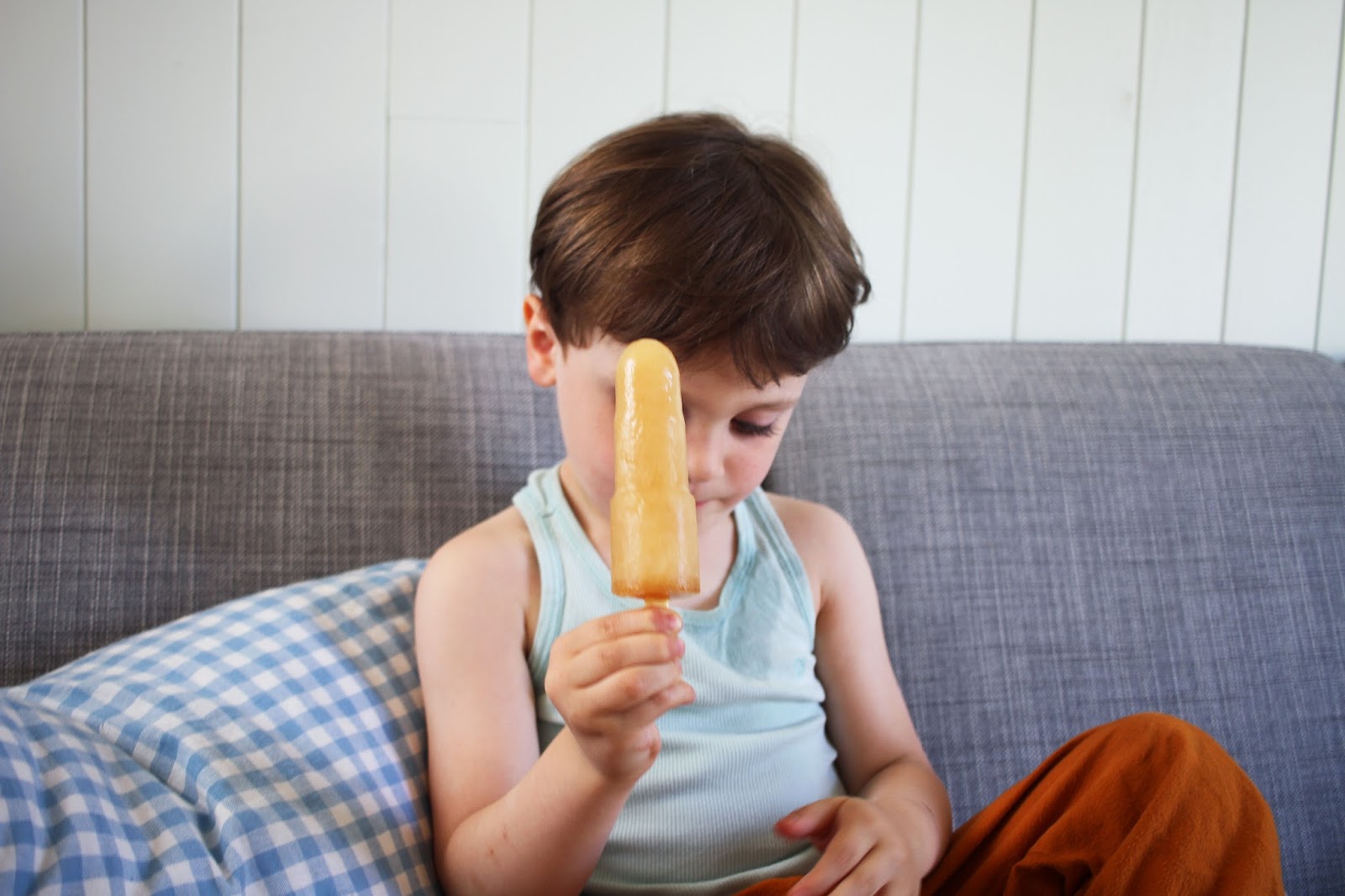 Merci Raoul Glaces A L Eau Maison Faciles Et Saines