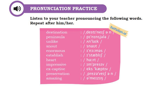 Latihan Mengucapkan Kata Bahasa Inggris Chapter 4 Halaman 52 Pronunciation Practice