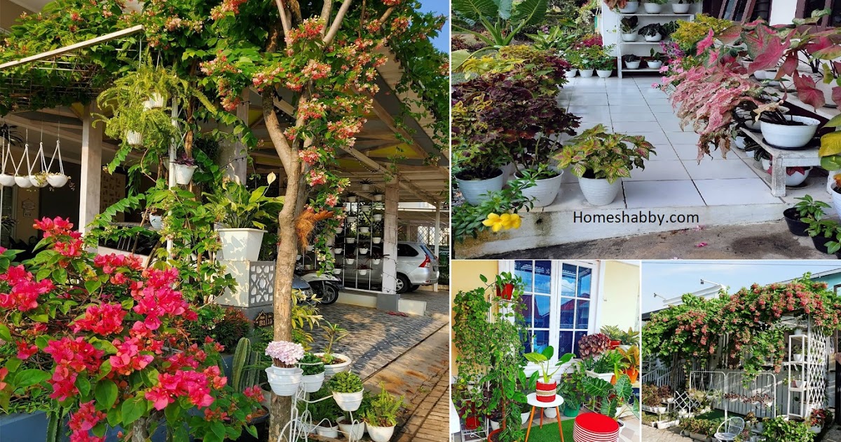 Desain Taman dengan Bunga Warna-warni. Percantk Taman Mungil Depan