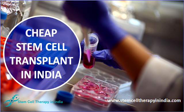 Cheap Stem Cell Transplant in India