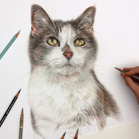 05-Cat-Angie-A-Pet-and-Wildlife-Pencil-Drawing-Artist-www-designstack-co
