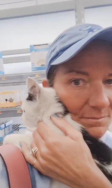 Woman had dreamt of adopting a stray cat and it happened in Walmart. She did great.