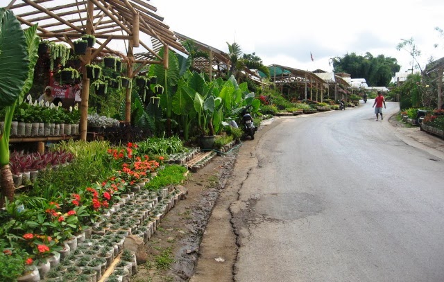 Tempat Wisata  di  Bandung  Taman  Bunga  Cihideung Daftar 