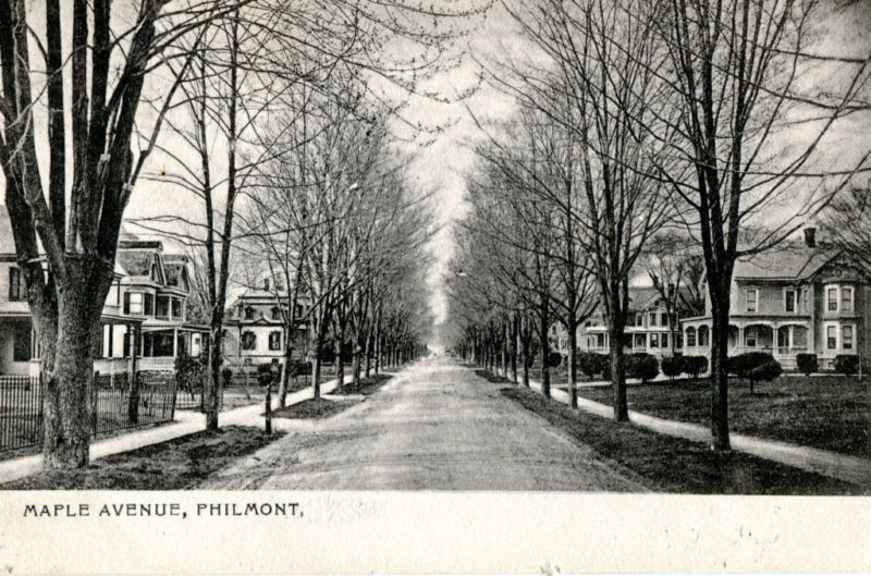 Old Pictures of Columbia County NY Maple Avenue, Philmont