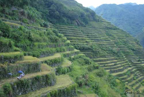 View of Batad Rice Terraces