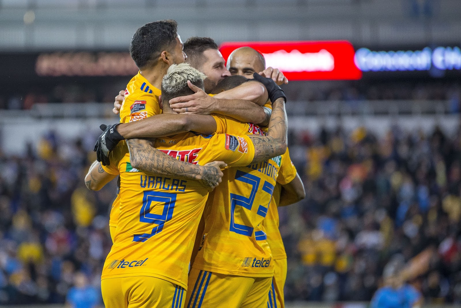 Las dos nuevas bajas de Tigres U.A.N.L. ADICTOS AL FUTBOL