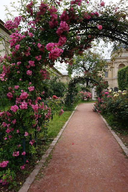 Jardin des Plantes