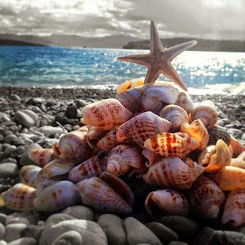 Η χαρά της παραλίας