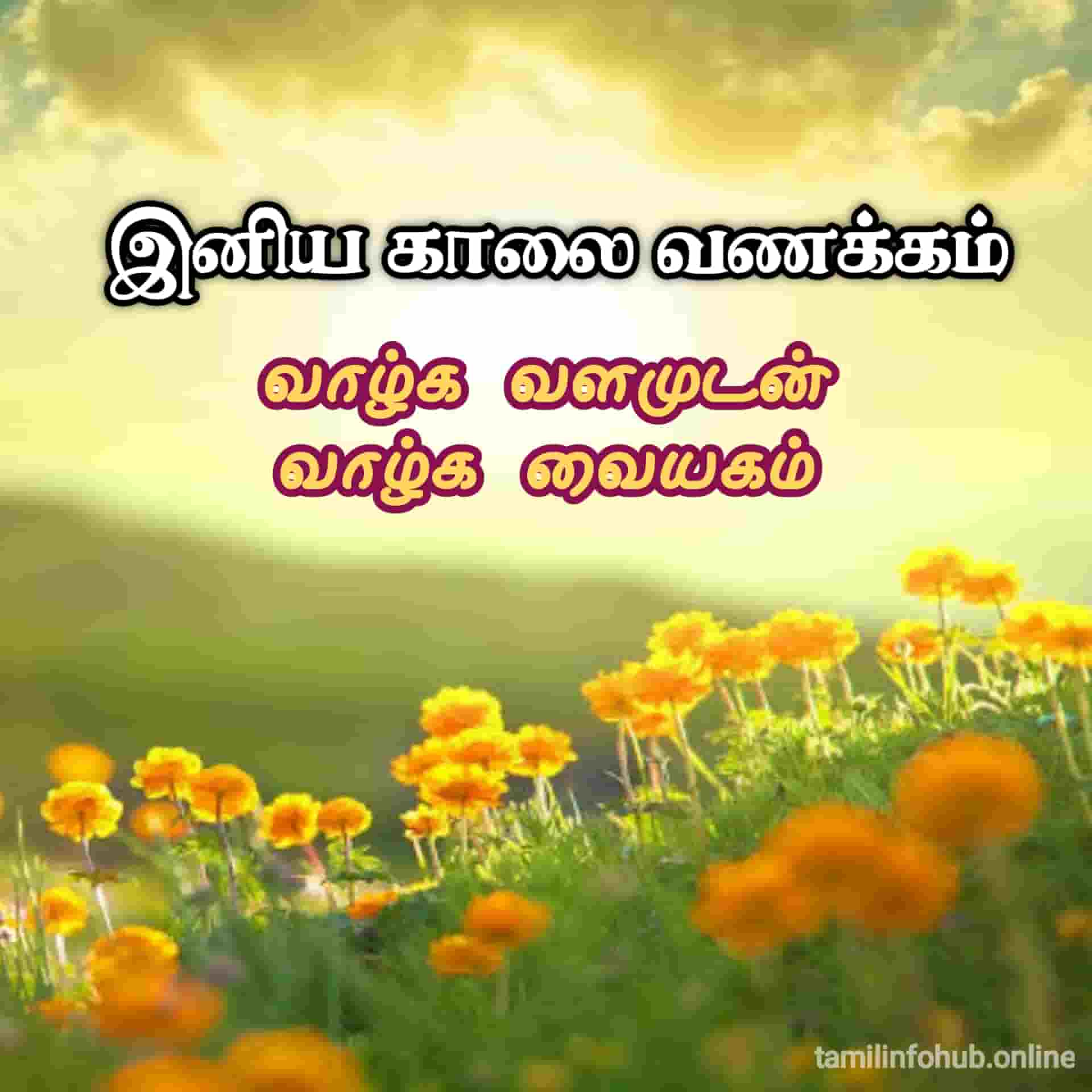 Good Morning Images in Tamil | Good Morning Quotes in Tamil | Good Morning Kavithai good morning in tamil words