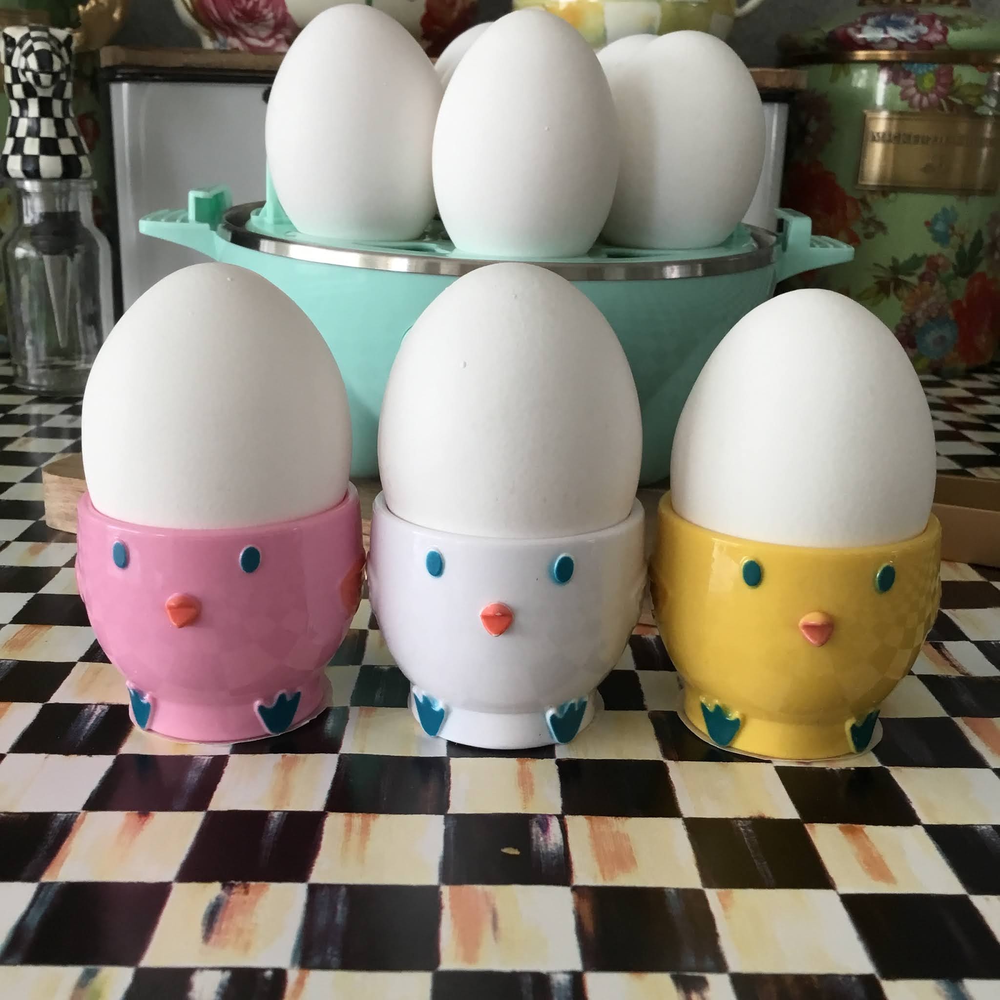 Holiday Sparkle Dash Egg Cooker. Everything you need to know