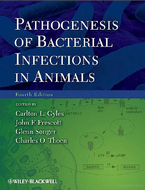 Myanmar Veterinary Forum: June 2013