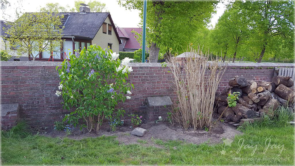 Sternensinn Garten Und Mehr Flieder Flieder Und Nochmal