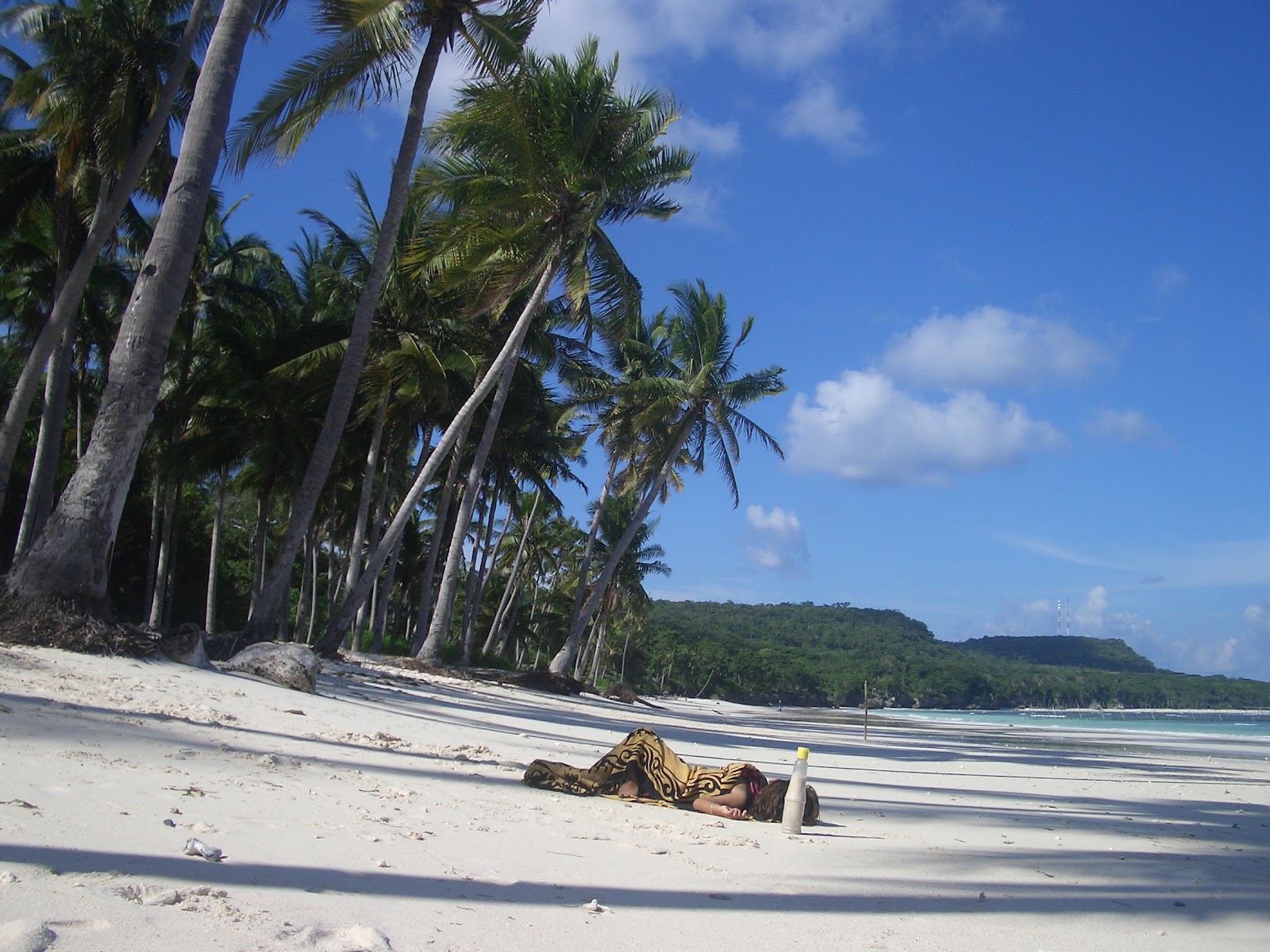 Пляж 2012 года