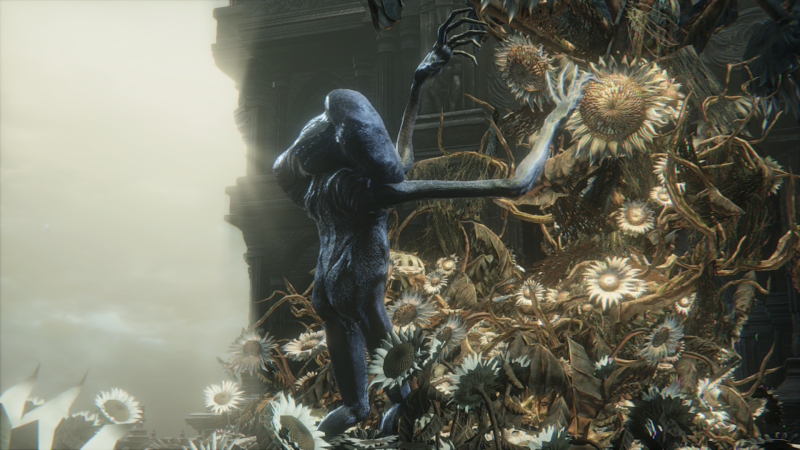 бладборн подсолнухи. Bloodborne living failures арт. Bloodborne living failures. ходячие неудачи бладборн. живые неудачи bloodborne.