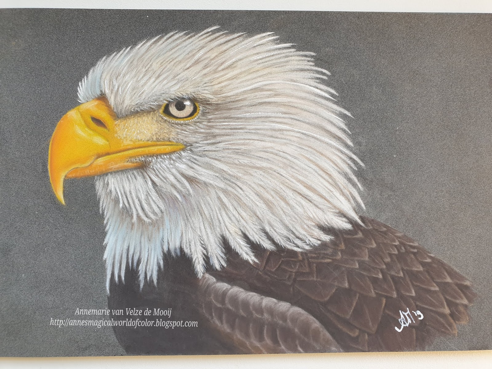 Anne's Magical World of Color Bald Eagle pastel drawing