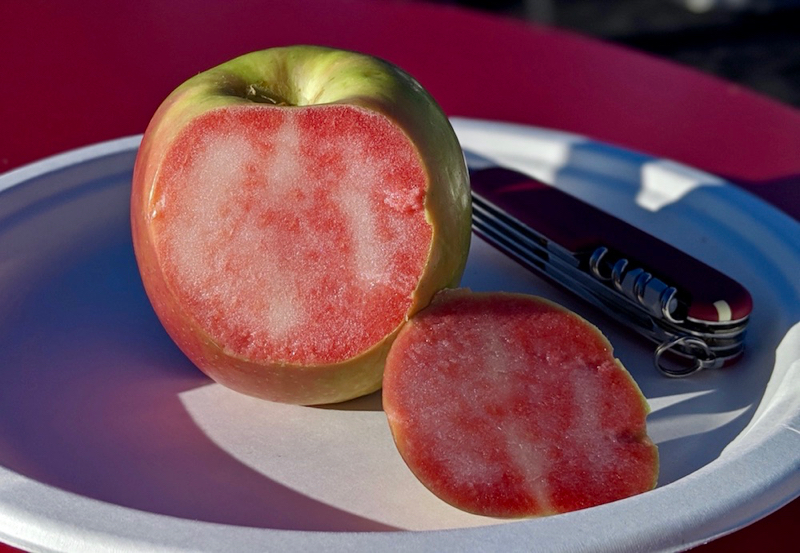 Lucy Glo * Adam's Apples