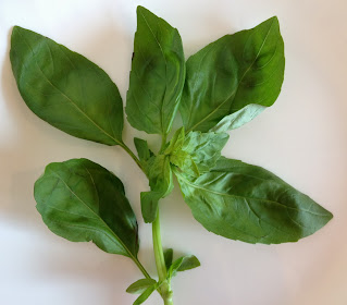 Albahaca Fresca