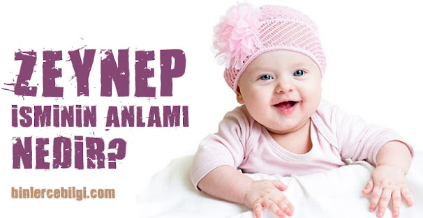 Zeynep ne demek? Zeynep isminin anlamı nedir? Zeynep adı kuranda geçiyor mu? Zeynep ismi hakkında kısa bilgiler. Zeynep isminin anlamı hakkında merak edilenler.. Zeynep ne demek? Zeynep isminin anlamı nedir? Zeynep adı kuranda geçiyor mu? Zeynep ismi hakkında kısa bilgiler. Zeynep isminin anlamı hakkında merak edilenler..