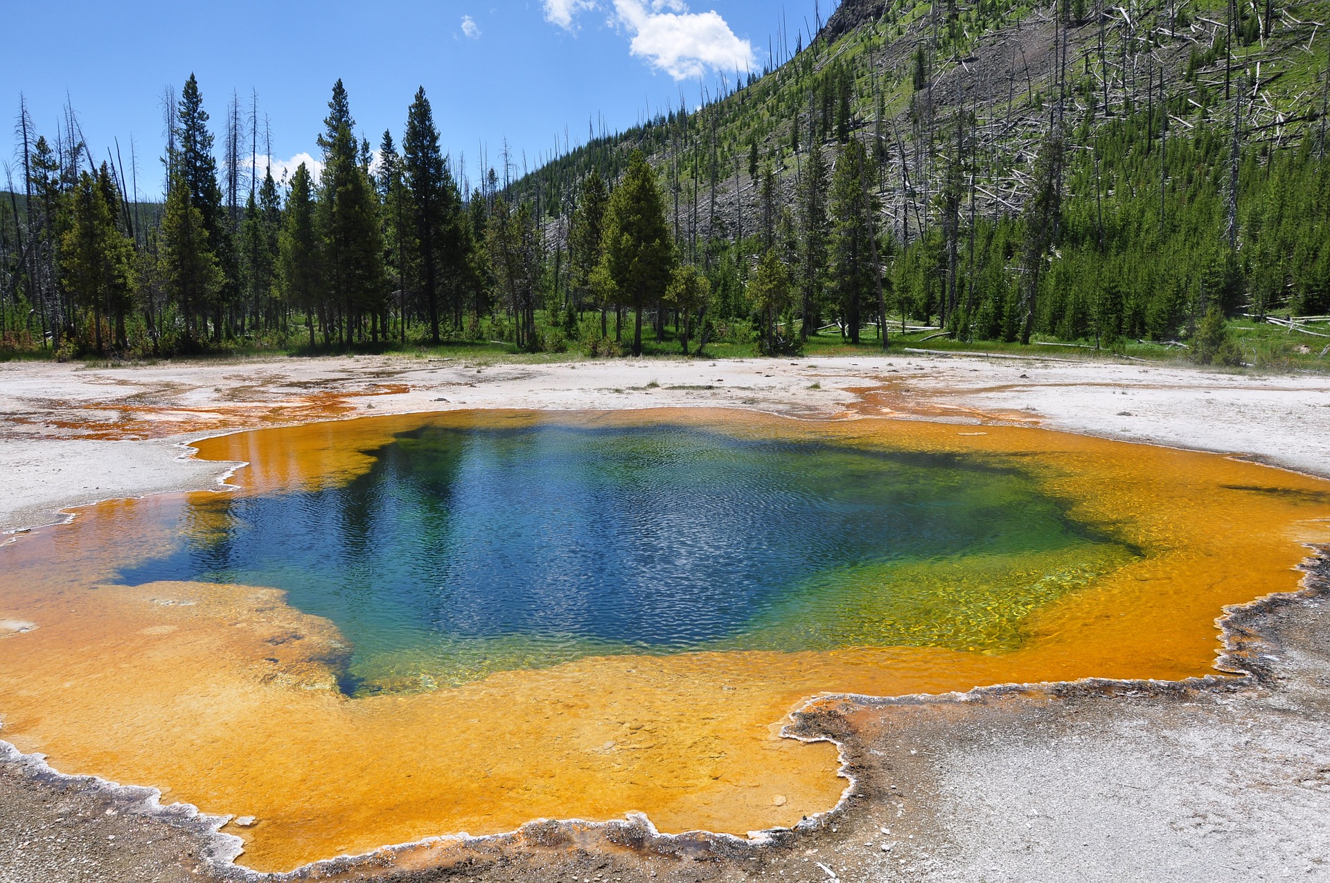 World's Best Places to Visit Best Things To Do in Yellowstone Best