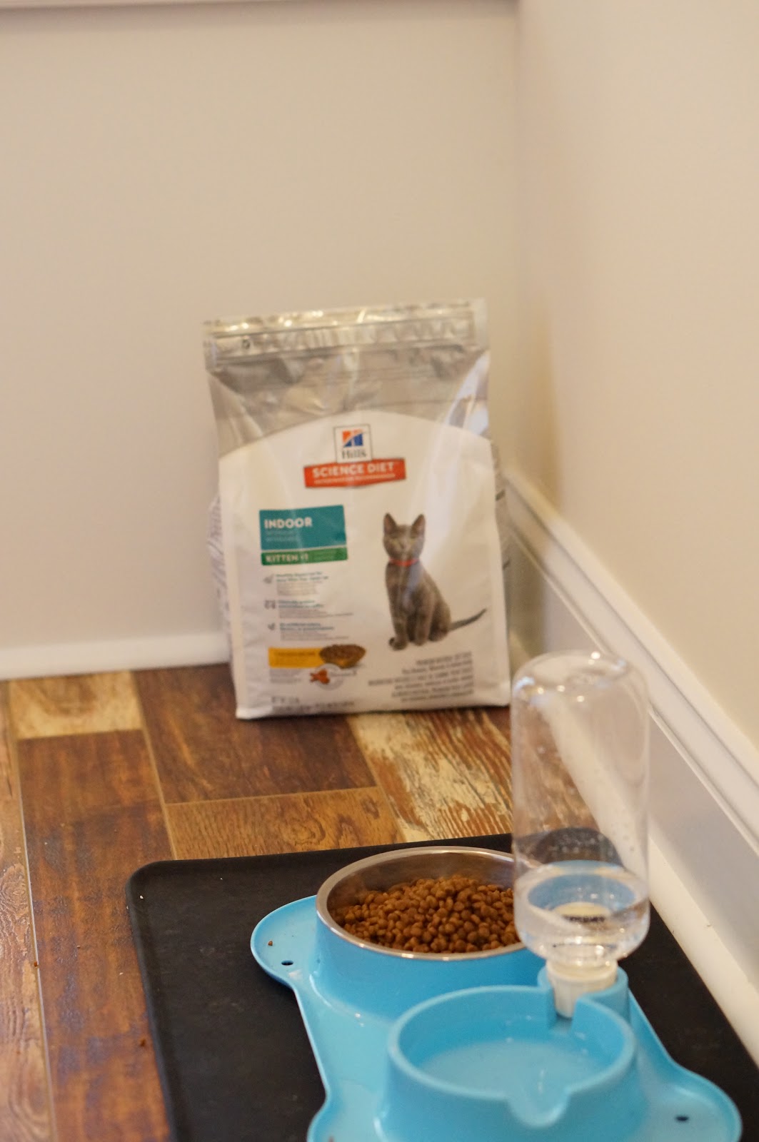 ADOPTING A KITTEN SCIENCE DIET® Rebecca Lately