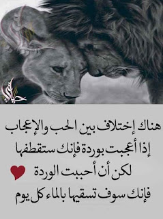 7e1c6b0d8bba253e1d004354e11ba17f
