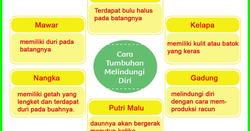 Jawaban Kuis Esps Matematika Kelas 6 Sd Hal72 Kumpulan Soal Jawaban Kuis Esps Matematika Kelas 6 Sd Hal72 Kumpulan Soal