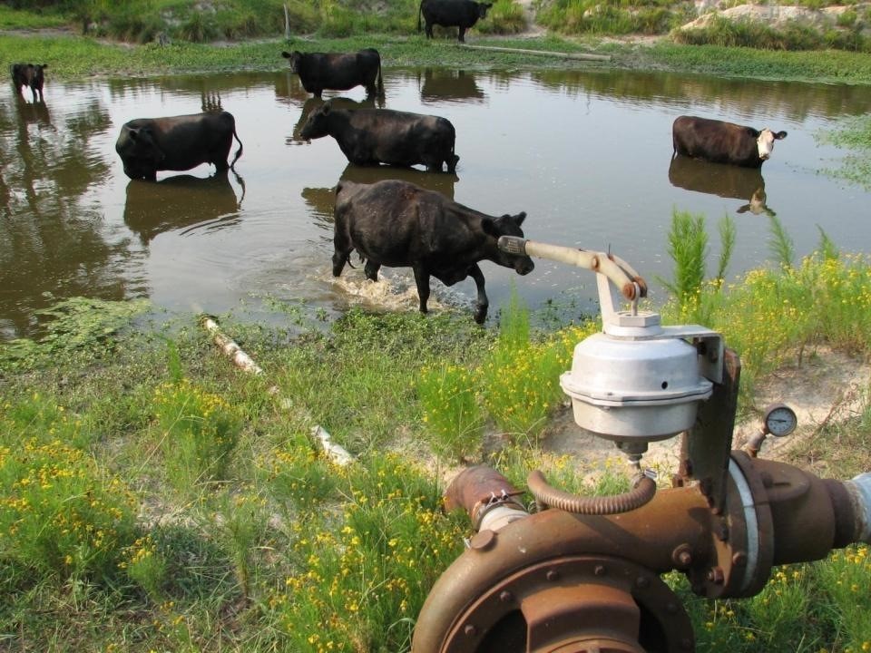 Testing Your Farm's Water for GAPs and FSMA