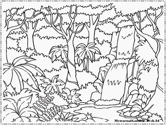 mewarnai gambar binatang hutan