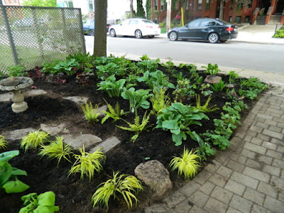 Summerhill Toronto New Front Garden Makeover After by Paul Jung Gardening Services--a Toronto Organic Gardening Company Summerhill Toronto New Front Garden Makeover After by Paul Jung Gardening Services--a Toronto Organic Gardening Company