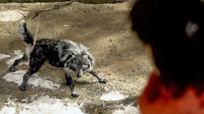 Peter and the Wolf (2006) Review
