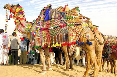  Bikaner is organized past times the Department of Tourism Place to visit in India: Bikaner Camel Festival 2015