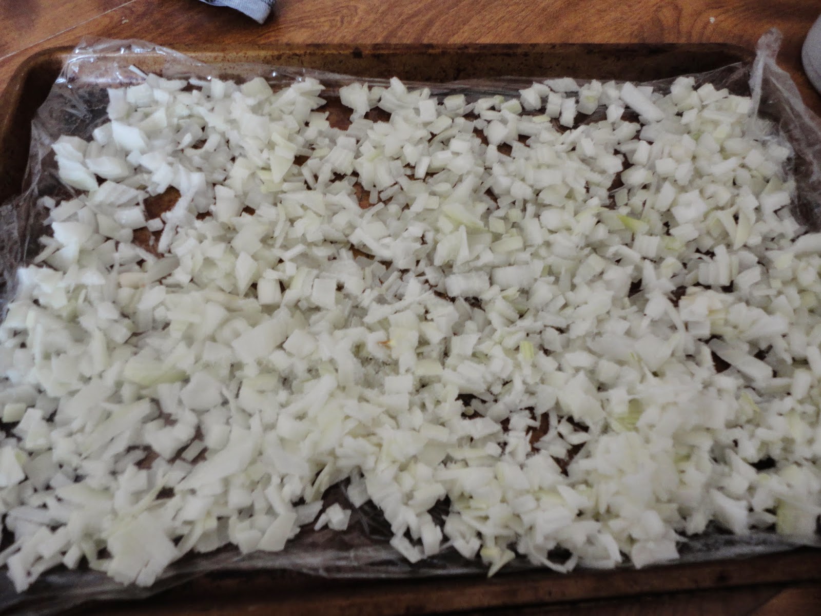 Pinkaton Family Food Storage Onions