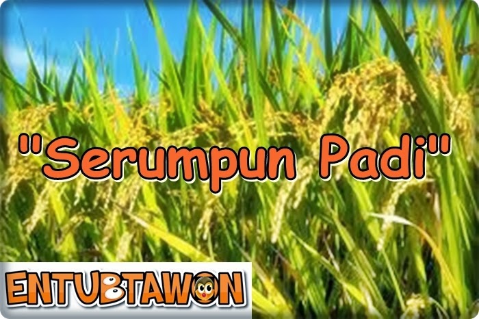 Serumpun Padi - Cipt. Maladi (Lyrik Dan Lagu Nasional) | Referensi