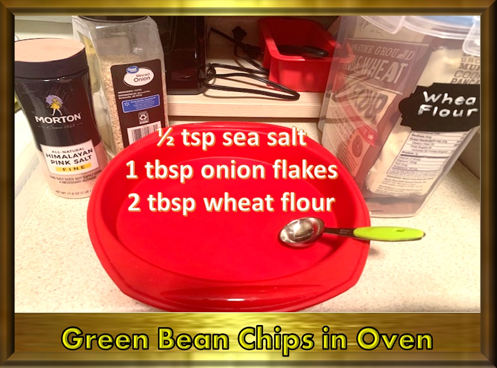 Animal, Nature, and Travel Tastebud Journey Dehydrated Green Beans in Dehydrator vs Oven