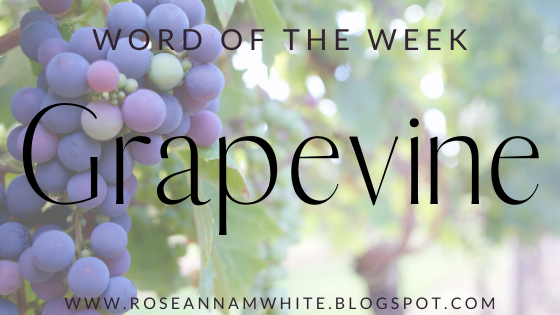 Word of the Week – Grapevine