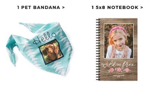 pet bandana shutterfly