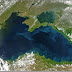 Câte cutremure au avut loc, în anul 2014, în Marea Neagră