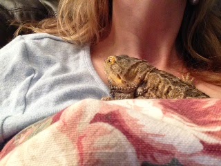 Lizard Love