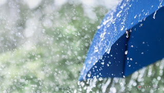 صور مطر, كلام عن المطر, مطر, صور, rain