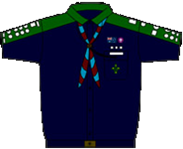 Scout Badge Placement
