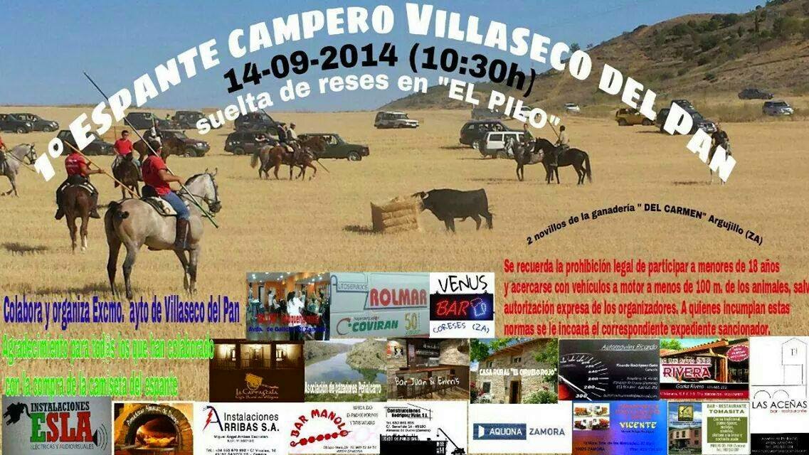 FIESTAS SANTA EUFEMA 2014 VILLASECO DEL