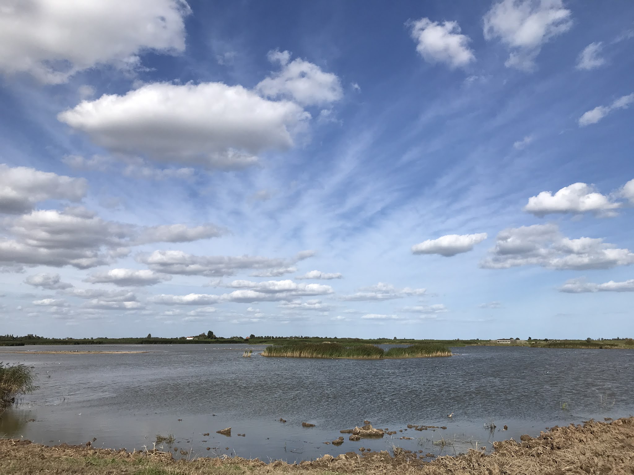 Frampton Marsh RSPB Reserve 12th September 2020