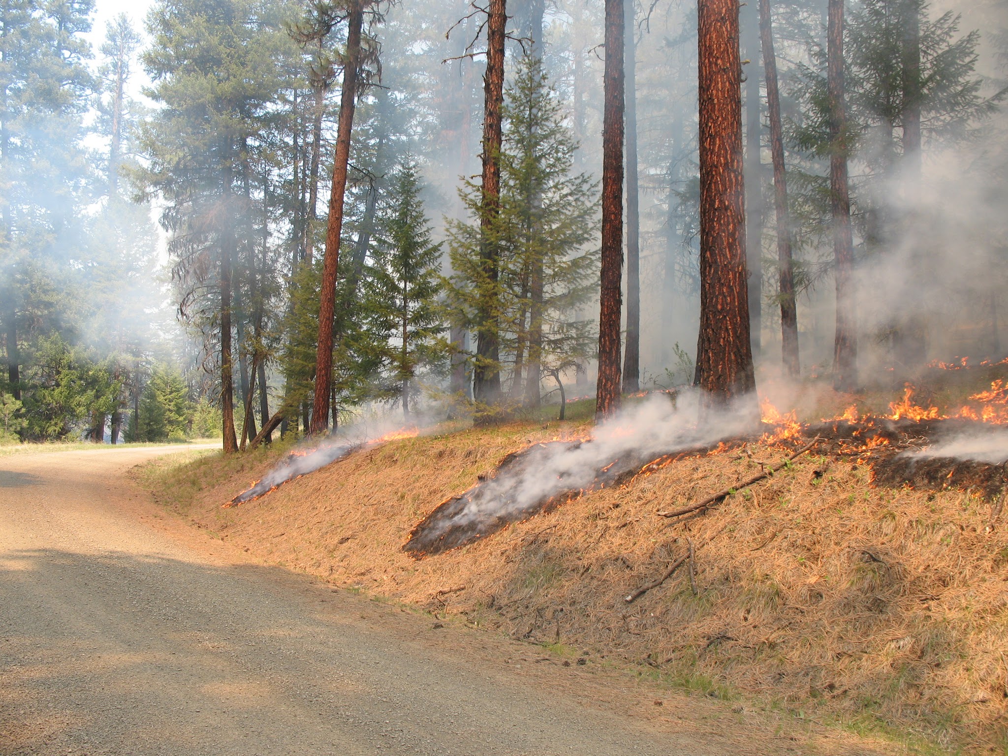 Umatilla National Forest prepares to implement prescribed burn plan