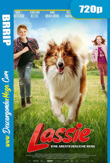 Lassie Vuelve a Casa (2020) HD [720p] Latino-Alemán